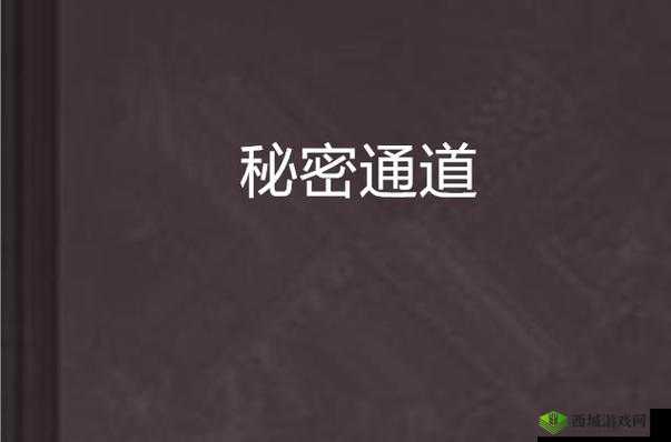 探索98精品国产㊙️入口：深入了解国内优质资源的秘密通道与独特魅力