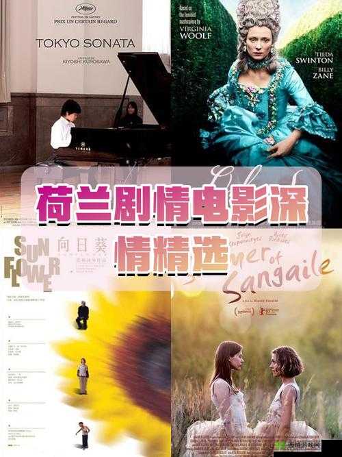 荷兰新婚之夜何时播出?最新播出时间及精彩看点全解析