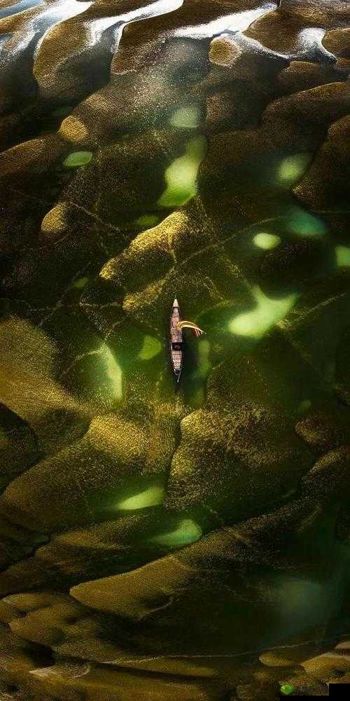 探索G0G0全球高清大胆摄影专业网：揭秘全球顶尖摄影师的作品与创作背后的故事