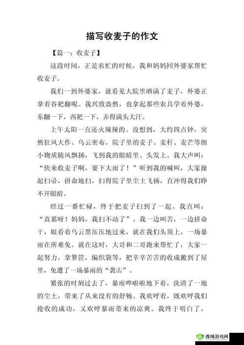 朋友换麦子 1 到底是怎么回事？深入解读朋友换麦子 1 的背后故事