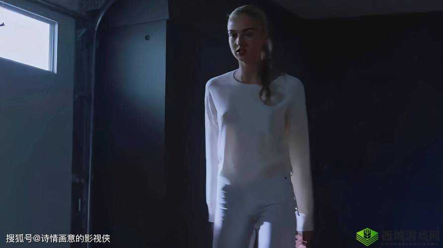 欧美人与牛zOZ0性行为:探讨背后的文化差异与伦理争议