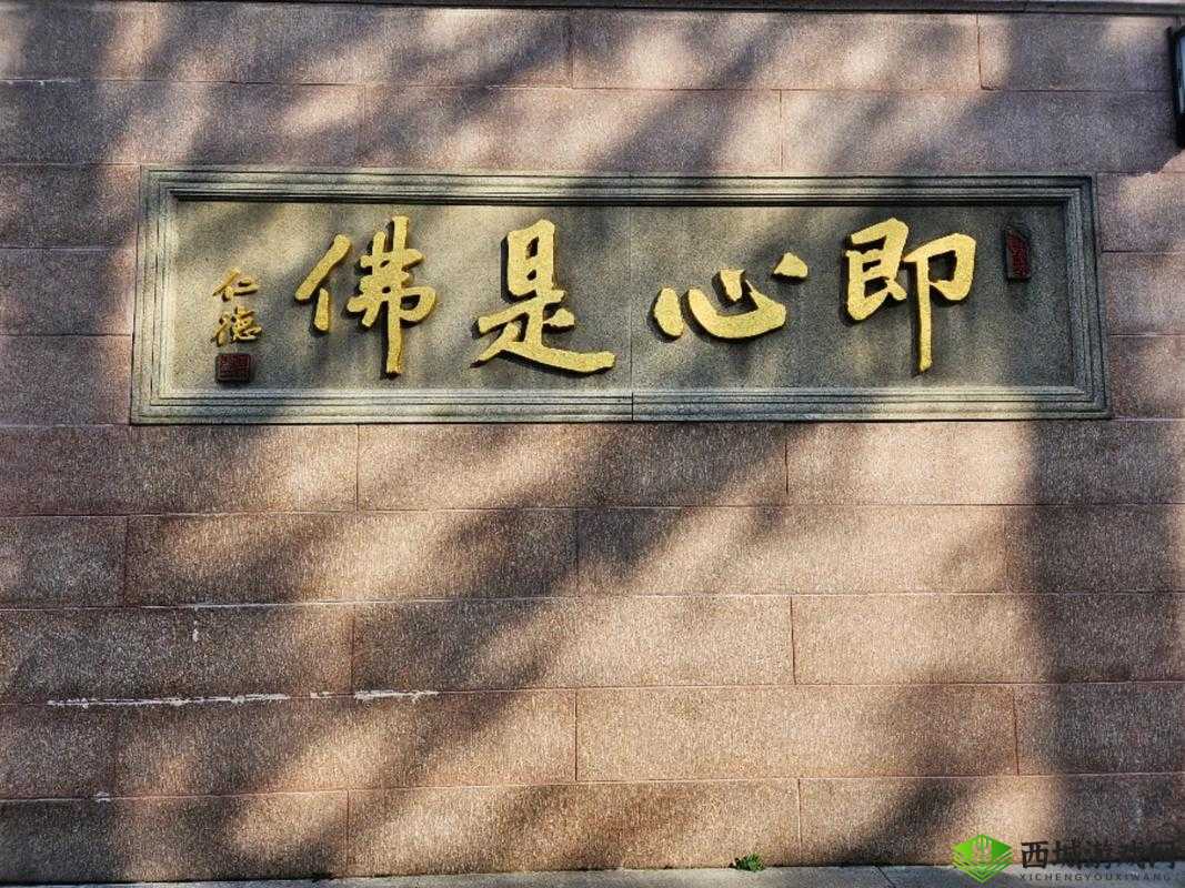 师父不可以限弥弥是什么意思？为何它备受关注？快来一探究竟