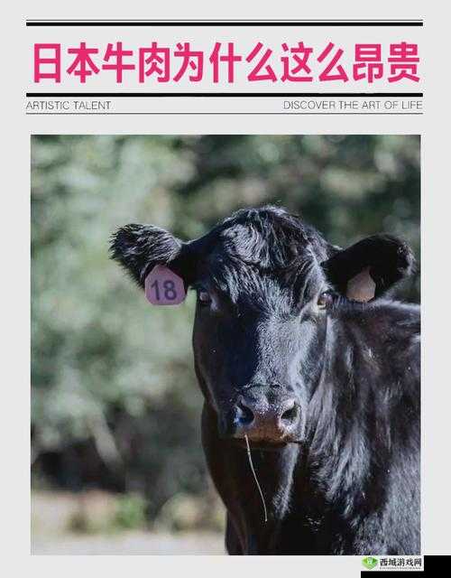 请问日牛的正确的到底是什么?深度剖析日牛的正确含义及相关内容