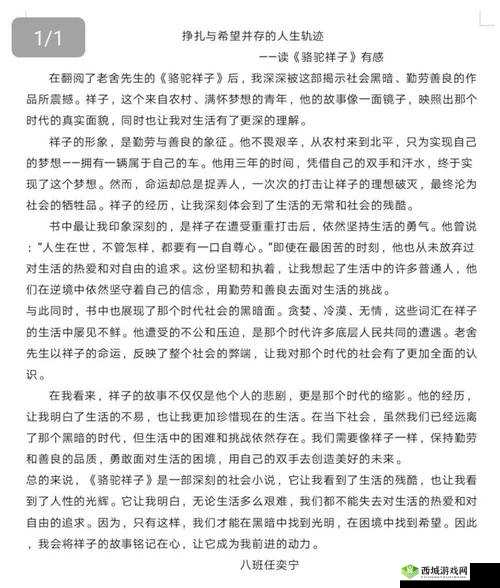 柔佳素云文枫阅读心得分享：深度解析与情感共鸣的文学之旅