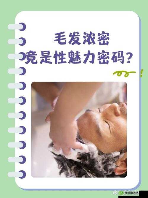 探索欧美浓毛hairypics的独特魅力:揭秘浓密毛发的时尚趋势与护理秘诀