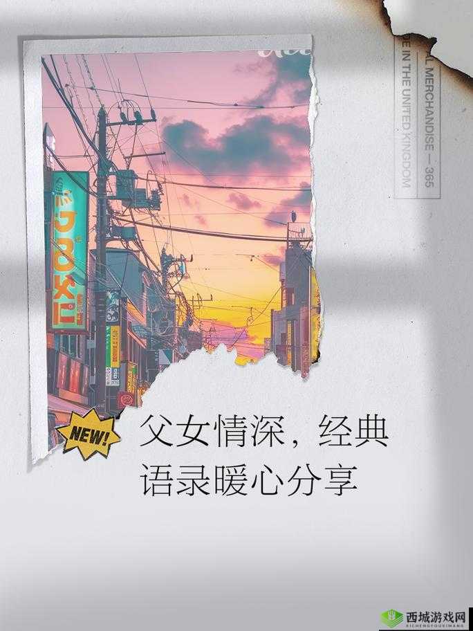 第二书包父女年代文:重温父女情深,探寻岁月记忆中的温暖与感动