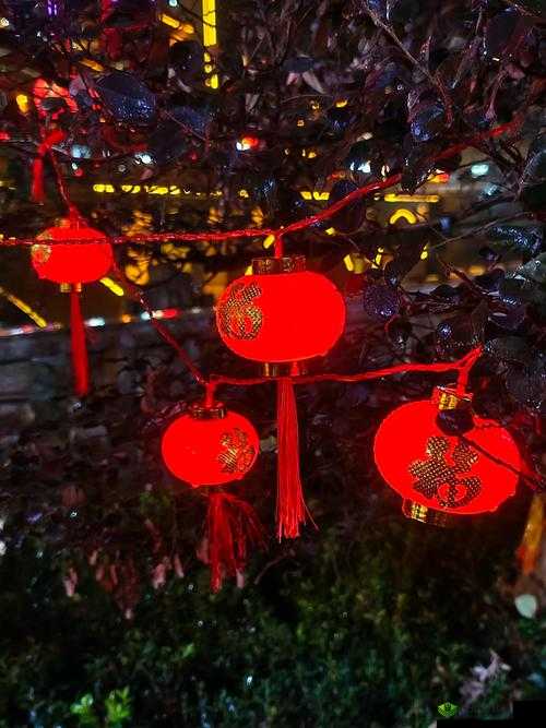 春节期间那道让我难以忘怀的美景究竟是什么？快来一探究竟