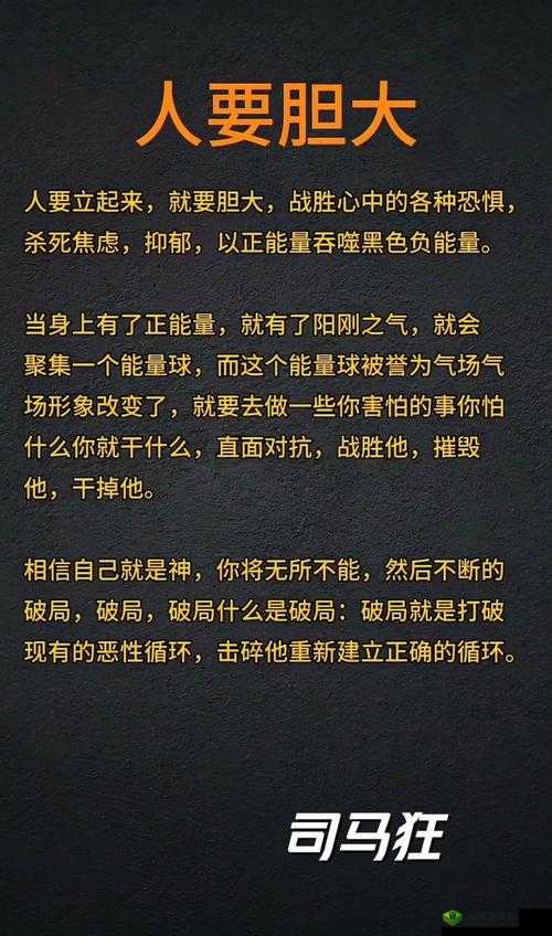 大胆人文艺究竟是什么？为何它能引发如此多的关注与讨论？