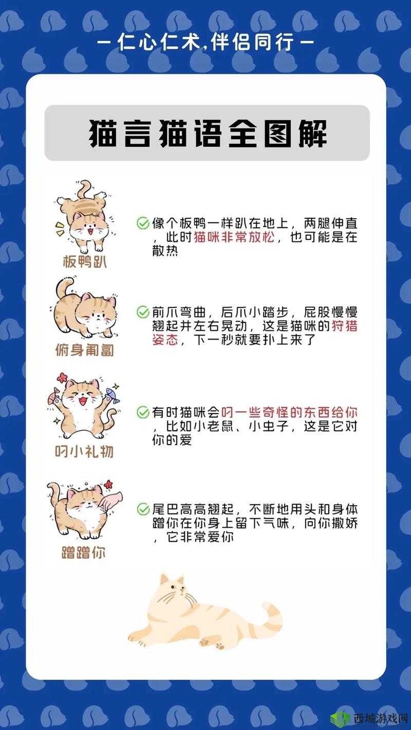 猫语咖啡，猫咪技能的作用与种类介绍