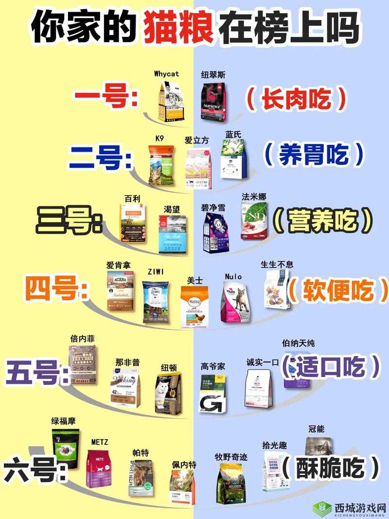 猫语咖啡什么猫粮最省钱，实惠猫粮制作方法