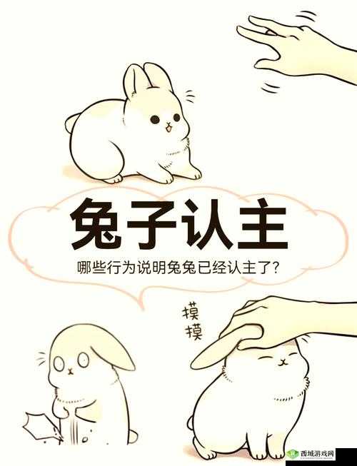 如何评价兔子漫画作者?