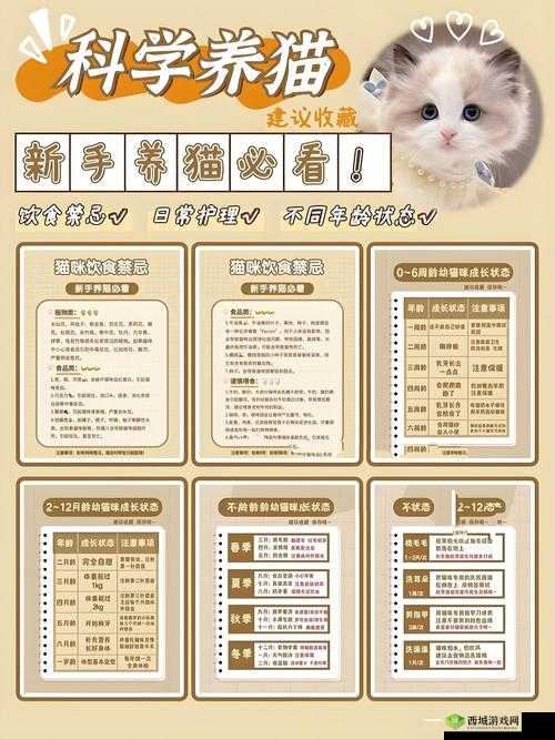 喵星人简史离线收益全攻略,底层逻辑与操作映射深度解析