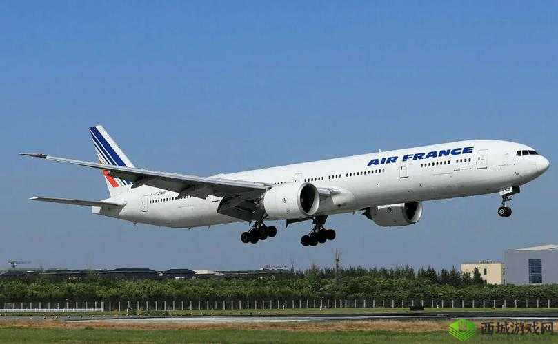 法航 2019 免费观看完整版:是真是假?为何如此受欢迎?