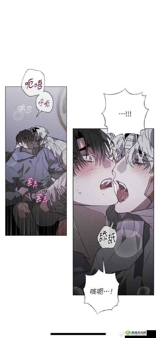 十冷2第四章隐藏攻略，年轻的车夫，隐藏的宝藏与谜题