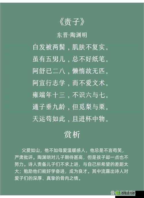 唯美诗词展现父女情深,百度 SEO 优化助力脱颖而出