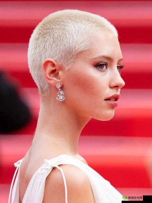 寸头挑战圣诞特别篇入口：揭秘独特发型与节日氛围的完美结合，探索更多精彩内容