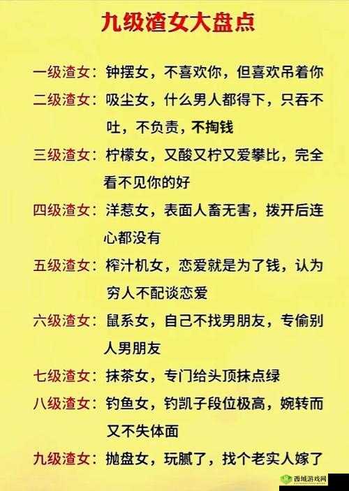 渣男渣女鉴定师渣女系列第十三关深度解析，通关攻略与游戏机制探索
