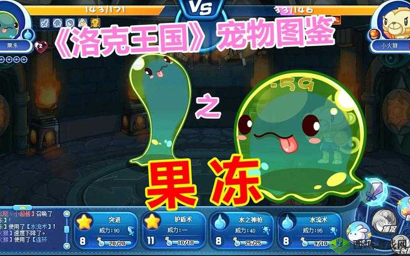 弹力果冻脆脆块，宠物界的攻击BUFF大师