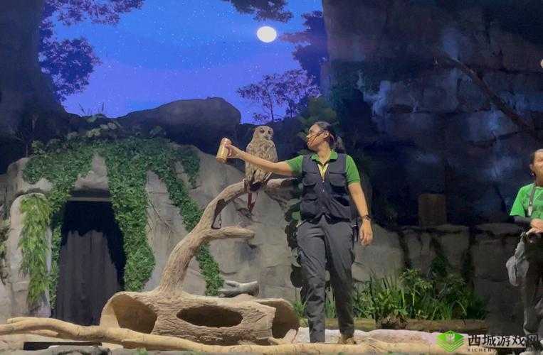 Samsara Room猫头鹰怎么转?猫头鹰转头技巧攻略