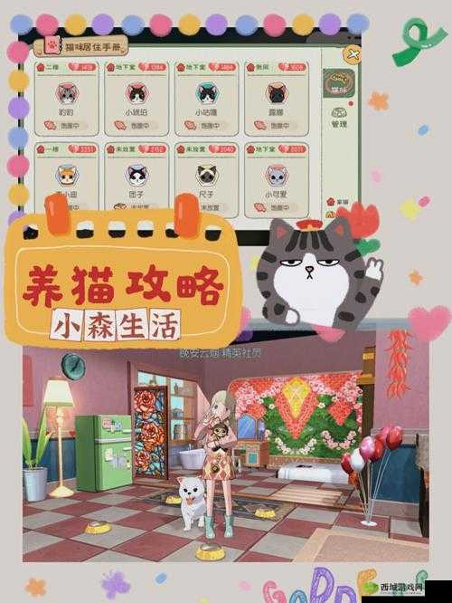 小森生活金猫币有什么用 金猫币使用方法介绍——演变史专题