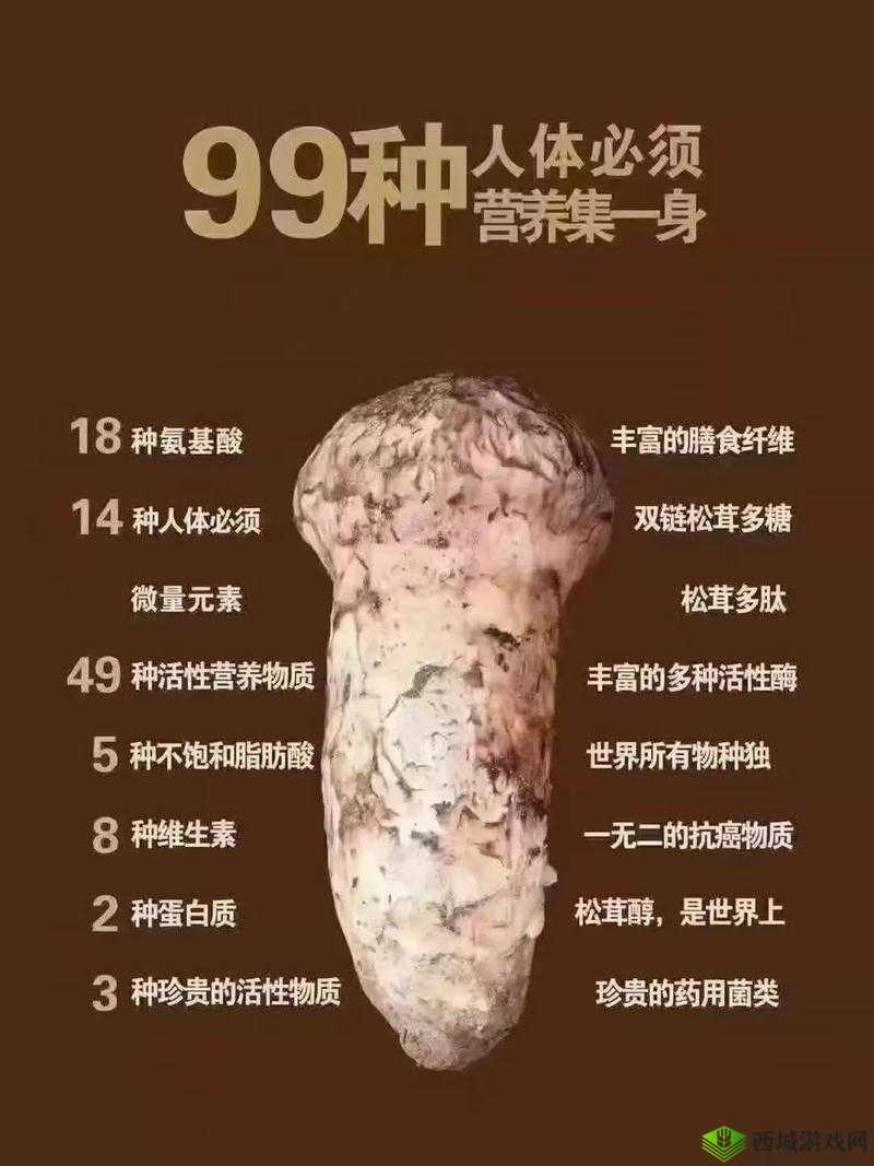 小森生活松茸探寻指南,位置分布、高效管理、避免浪费与价值最大化