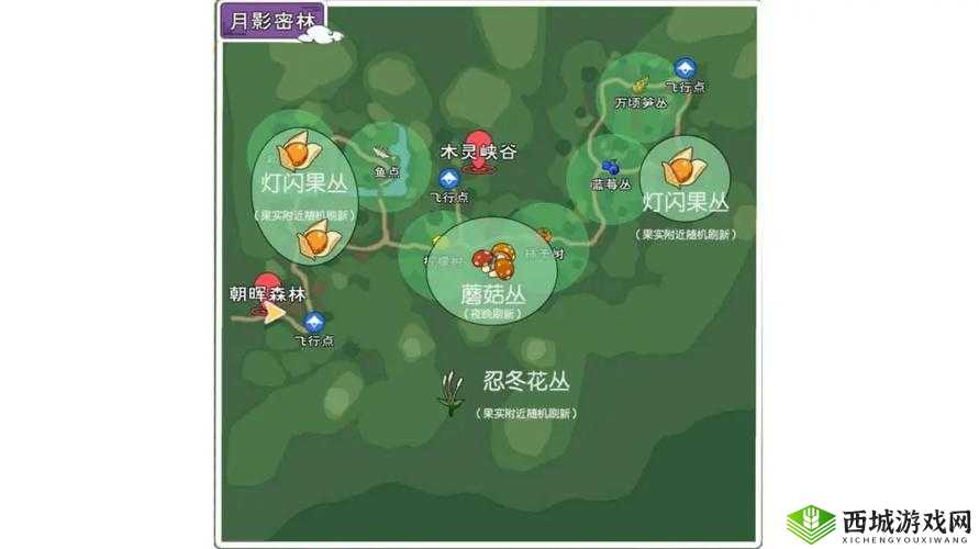 小森生活忍冬花在哪?采集位置及刷新时间介绍