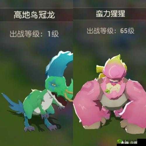 海岛纪元宠物图鉴大全，所有宠物捕捉培养攻略的资源管理艺术