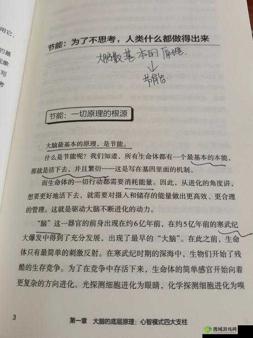 脑洞大侦探找隐藏第二十关攻略，底层逻辑与操作映射的深度解析