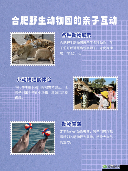 动物安排员第19关怎么过？第十九关三星图文攻略深度解析