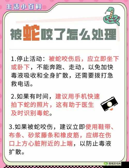 希望之村被蛇咬了怎么办？翻车被蛇咬处理方法介绍