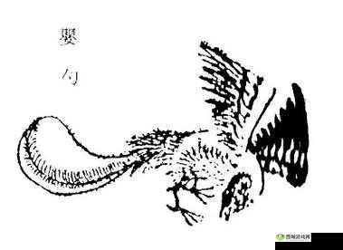 山海镜花婴勺技能属性图鉴,N卡婴勺厉害吗?及未来玩法革命预测