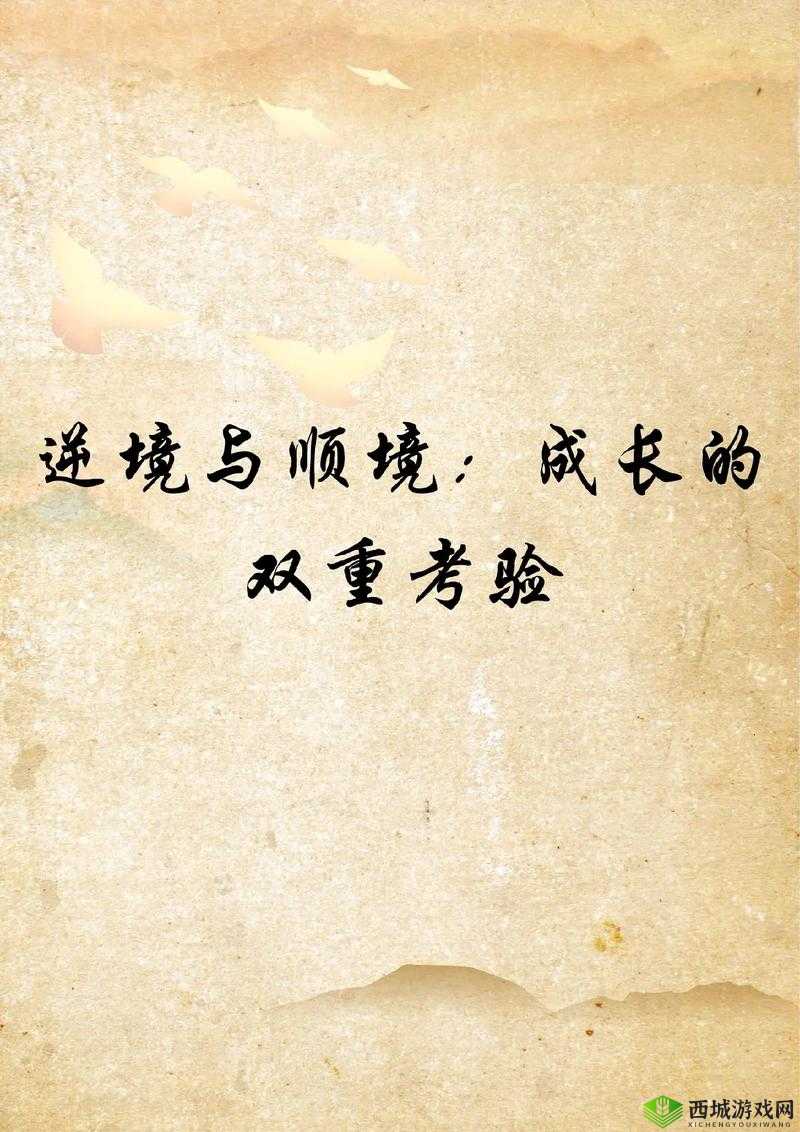 别针大师第四十关挑战，解锁智慧与耐心的双重考验