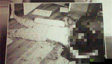 脑洞大开!揭秘甜品店死亡案真相