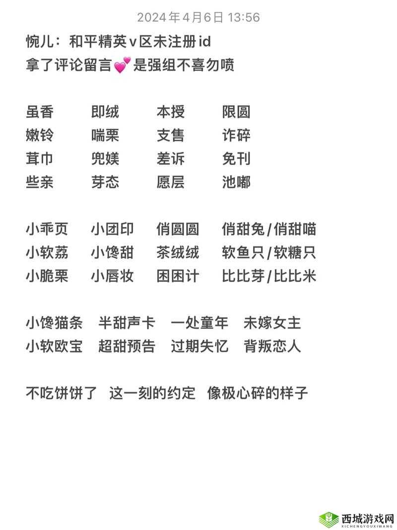 抖音吃鸡游戏的名字，资源管理、高效利用与避免浪费的策略