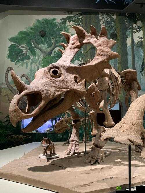 我的化石博物馆,隐藏恐龙化石解锁全攻略与深度解析