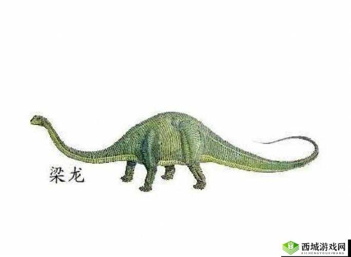 我的化石博物馆梁龙怎么样？梁龙属性图鉴介绍