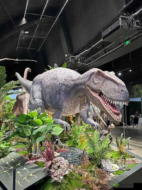 解锁圆顶龙，化石博物馆的奇妙探索之旅