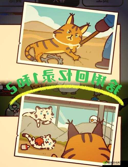 动物餐厅大厨的来信解锁秘籍，解锁条件全揭秘