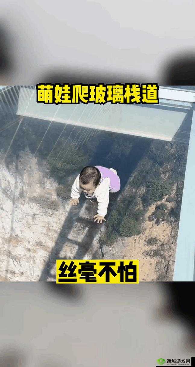 趴玻璃上做给别人看以吸引关注