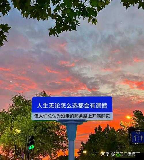 填得很满是什么感觉：知乎深度解析