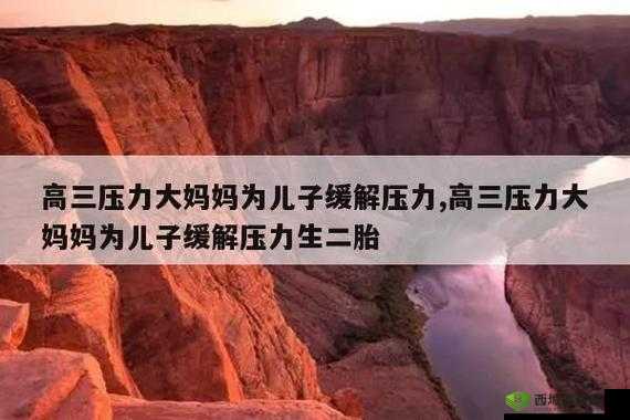 母亲跟高三儿子同睡缓解压力：这种做法合适吗