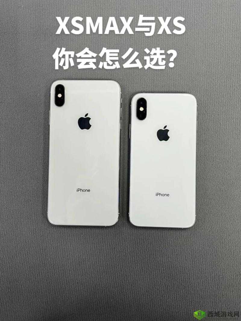 欧美 IPHONEXSMAX 免费-你相信吗