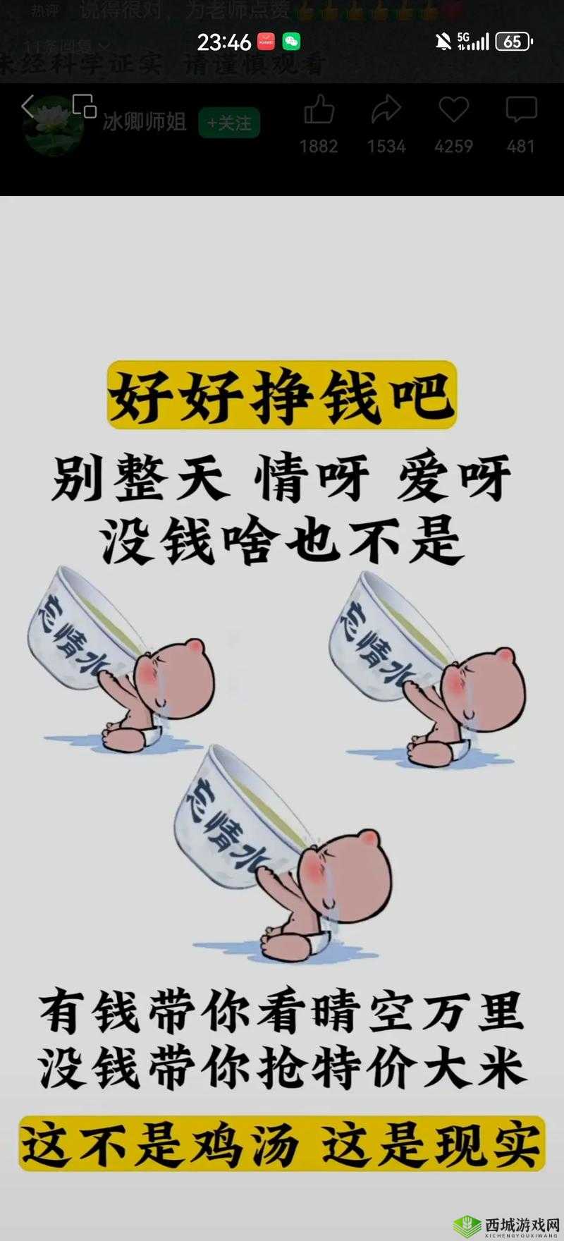 天天谢了天天擦了天天拍了：背后的故事