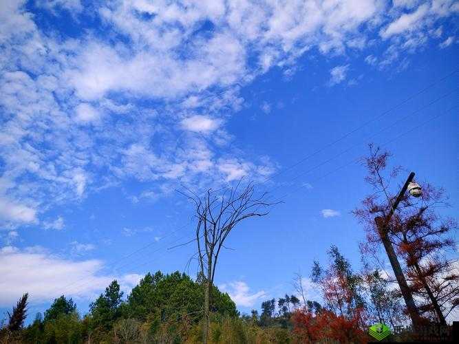 成品人和精品人的区别四叶草迎来了倒数计时：深度剖析