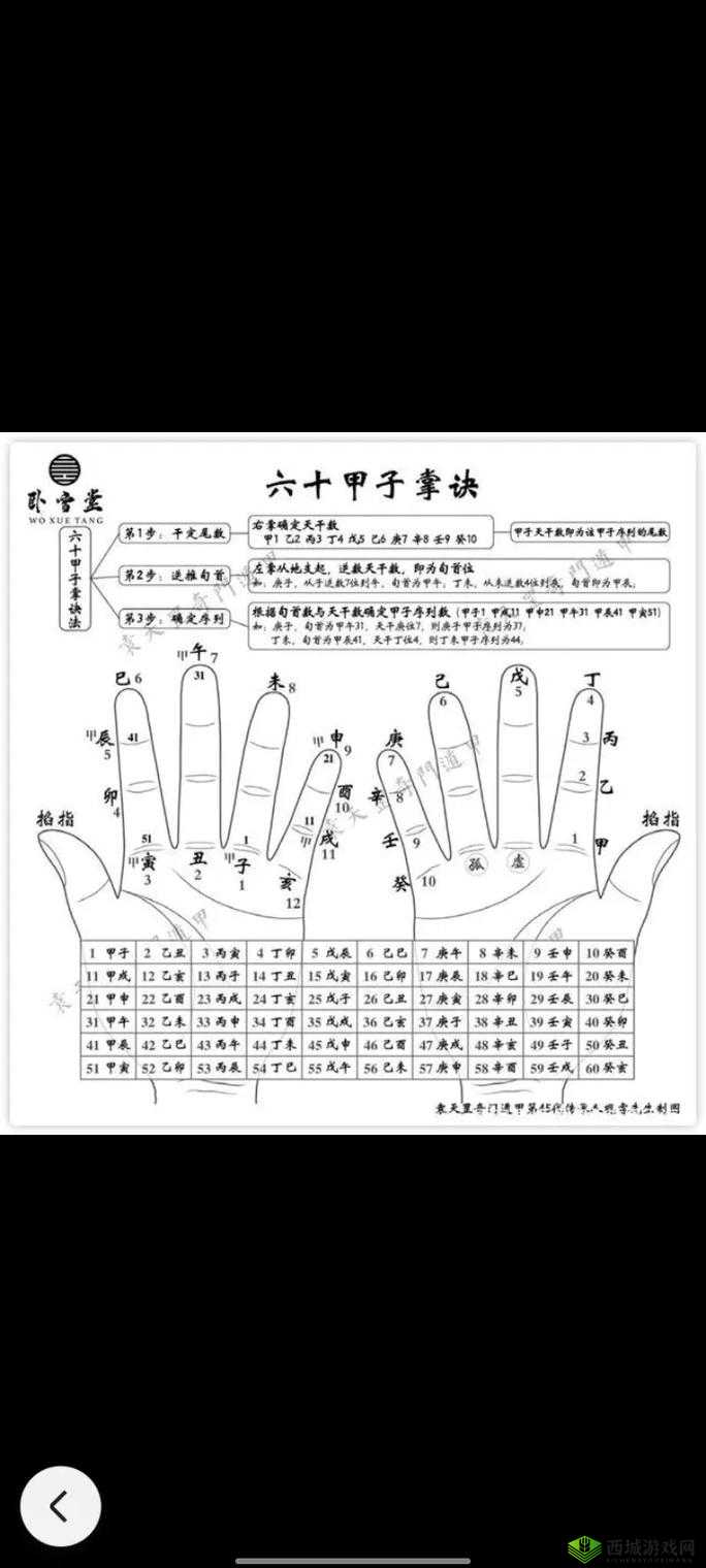 大掌门新手操作全攻略：快速上手秘籍