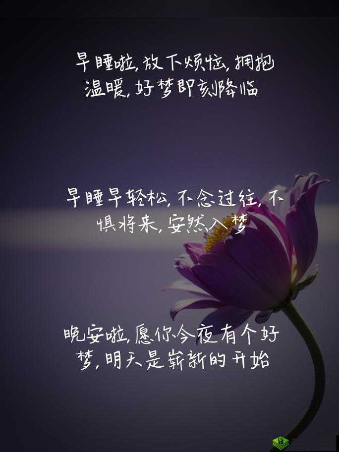 早睡不打扰，攻略助力好梦今晚早点入梦乡的游戏指南