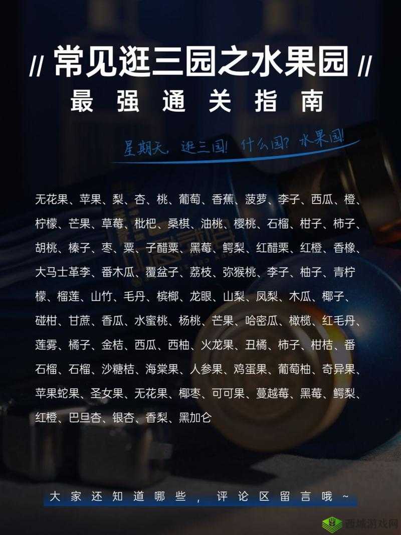 逃脱者困境突围：响尾蛇之泉全面攻略与通关指南