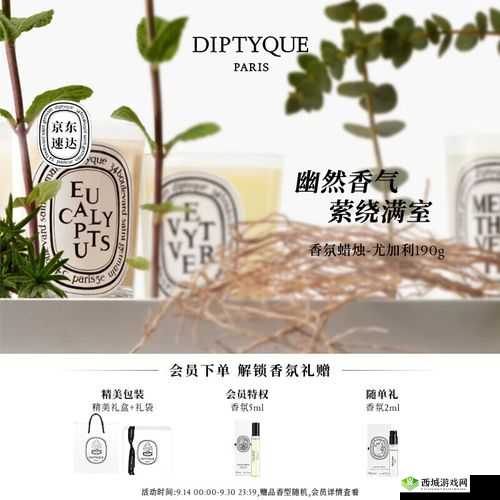 探秘 Diptyque 含羞草香薰：独特魅力何在