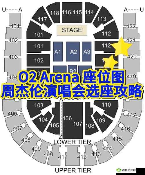 国产 A1a2a317c 最新使用攻略：实用技巧分享