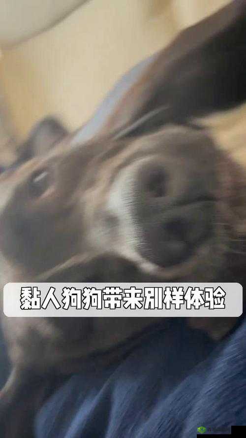 任我艹带来别样体验